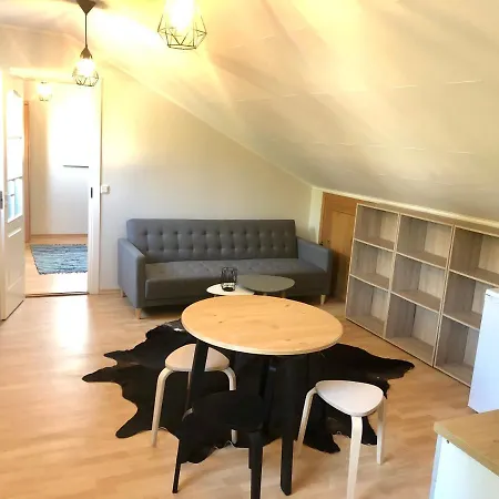 Apartment Viiger